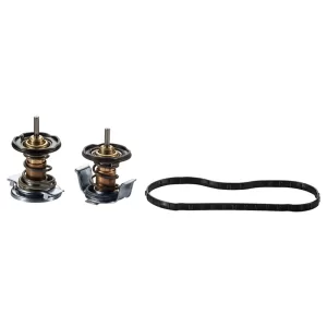 2008-2010 Ford 6.4L Power Stroke Engine Coolant Thermostat